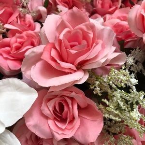 Meet your Posher, Shelby